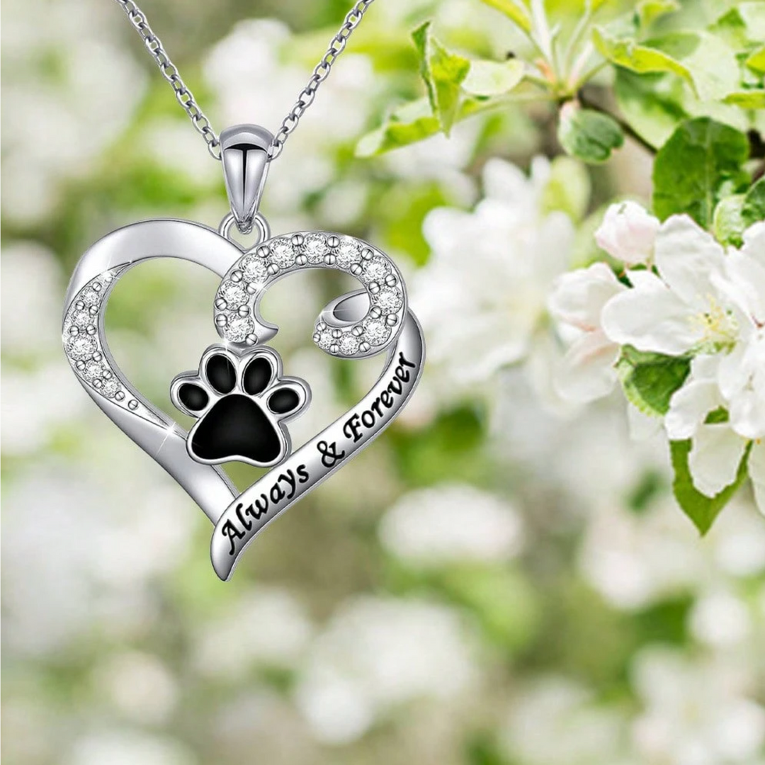 Colgante de Corazón con Huella de Perro en Acero Inoxidable Elegante