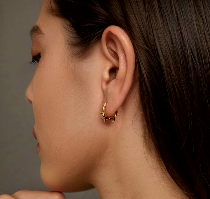 Pendientes de Perro Salchicha en Plata 925